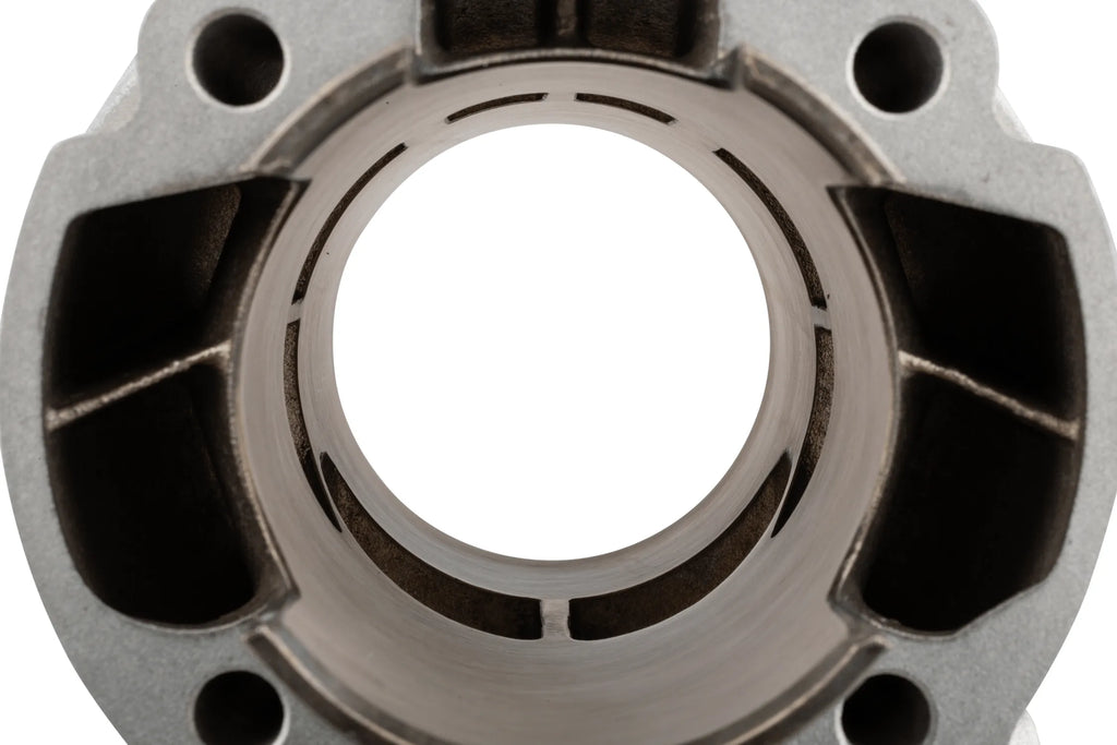 2Fast Cylinderkit 100cc - AM6